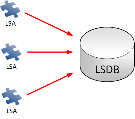 图片[4]-OSPF工作原理、建立邻接关系、路由计算详解-不念博客