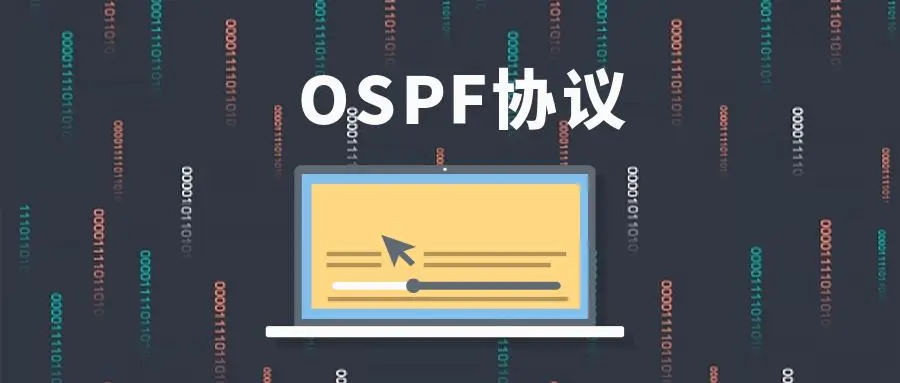 OSPF常见数据包格式-不念博客
