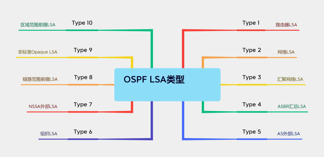 OSPF LSA类型对比-不念博客