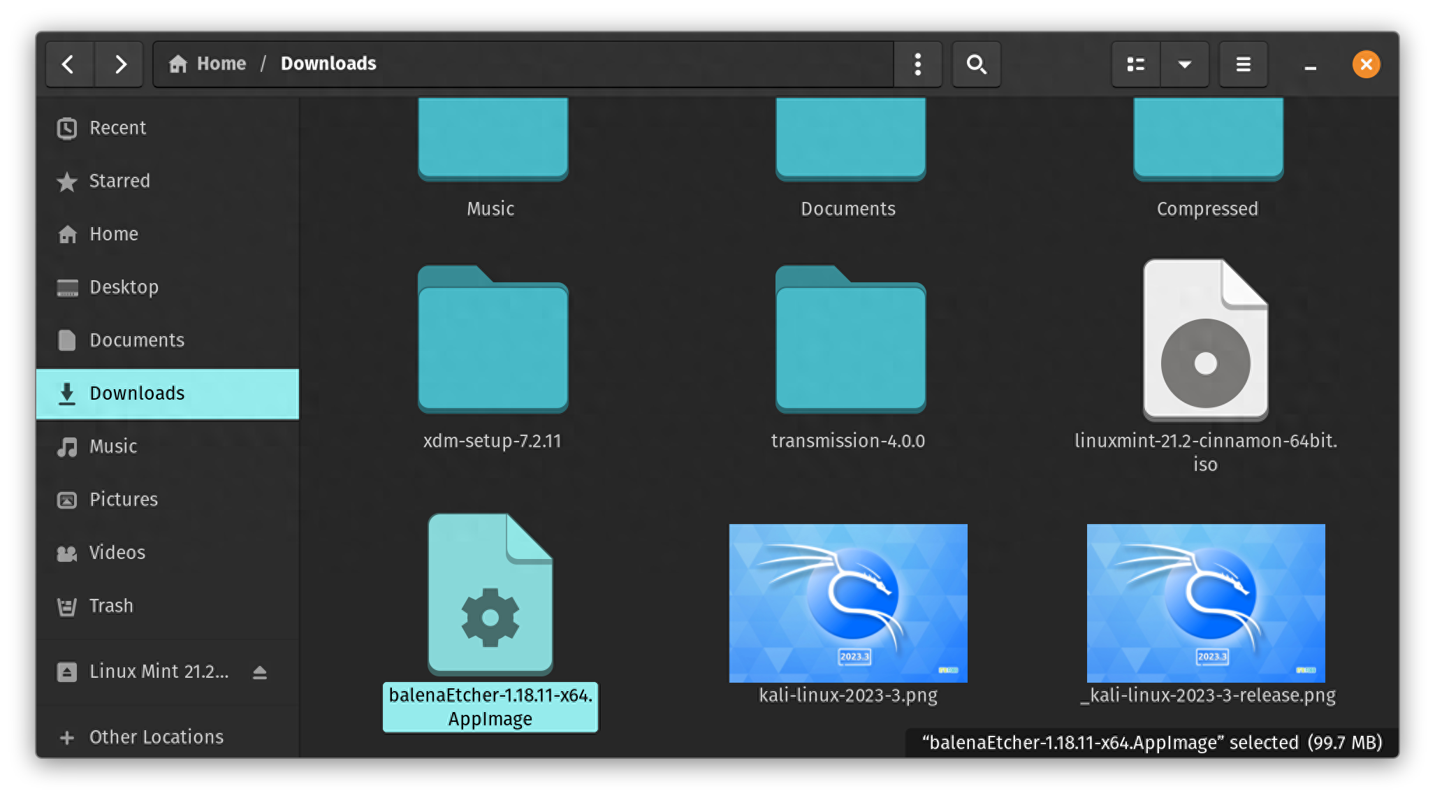 图片[4]-如何制作一个Linux Mint立付USB-不念博客