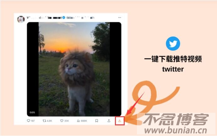 图片[10]-推特视频怎么下载？（保姆级详细下载教程）