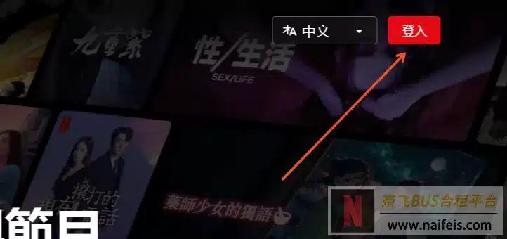 图片[9]-国内怎么使用奈飞？（Netflix大陆使用详细教程）